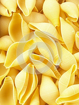 Conchiglioni pasta shells
