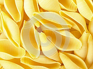 Conchiglioni pasta shells