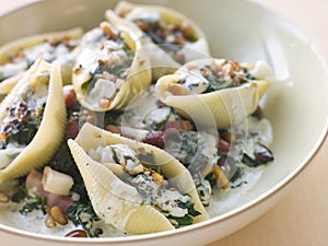 Conchiglioni pasta shells