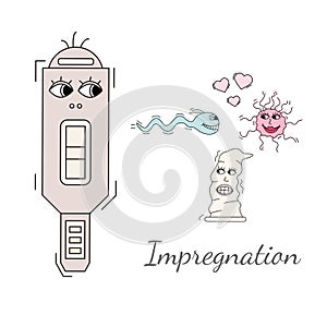 Concieving, contraception and impregnation elements set in cartoon style