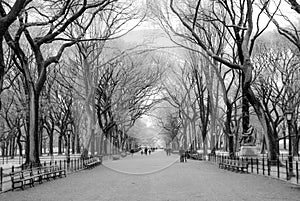 The concourse on the mall in central park