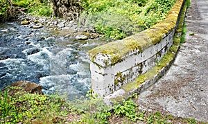 Concrete Bridge with Moss