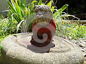 Concrete bulldog in the garden