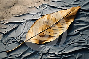 Concrete canvas Falls touch, a dried mango leaf delicately placed