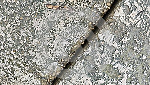 Concrete cement stone wet texture pattern background photo