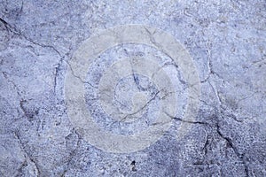 Concrete or cement texture for background