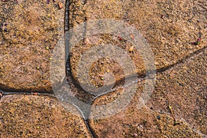 Concrete Crack with Wet Puddle