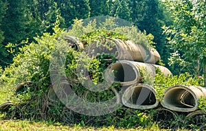 Concrete culverts in filed vines photo