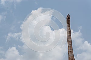 Concrete dinosaurs in Thailand