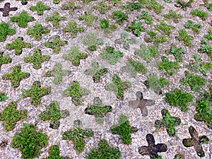 Concrete Driveway