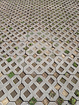 Concrete eco paving stones on a city street