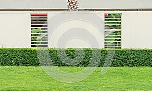 Concrete fence with hedge and yard