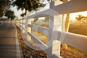 Concrete fence with path way