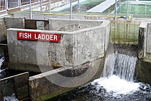 Concrete fish ladder at salmon farm