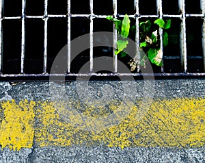 concrete floor and Drainage with yellow line