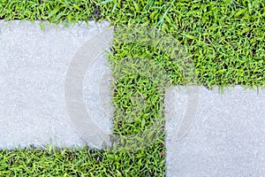 concrete floor and grass