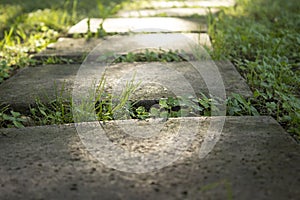 Concrete garden stepping stones pathway