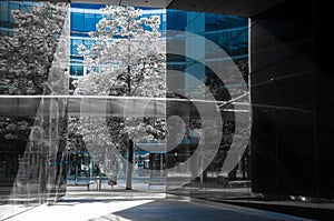 Concrete glass jungle of warsaw. Monochrome photo of contemporary architecture with only blue color visible