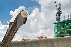 Concrete Highrise and tower crane Construction Site.