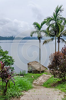 Concrete jetty, pathway and palms overlooking Barombi Mbo crater lake in Cameroon, Africa photo