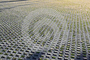 A concrete lawn grid in the sun with shadows and green grass under it is an environmentally friendly soil cover