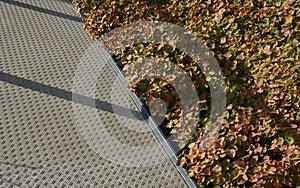 Concrete monolith staircase with the texture of extruded ribbed, corrugated sheet metal. ramp with vegetation of ornamental dry gr