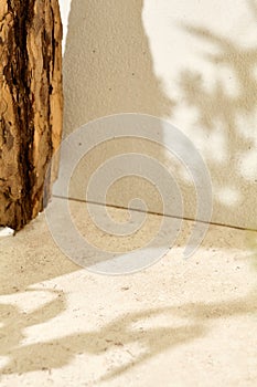 Concrete and nature background with empty place for product. Mockup cosmetics. Eco organic mockup. Abstract shadow and wood