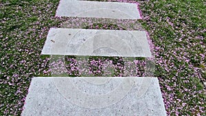 concrete path lawn pedal rectangular shape in regular grid routed