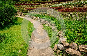 Concrete Pathway in garden photo