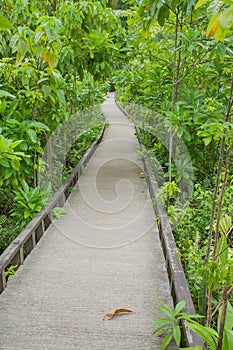 Concrete pathway or walkway.