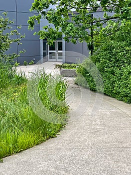 Concrete paved pathway to the office building entrance