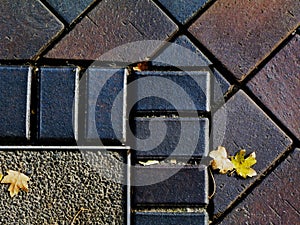 Concrete paving texture in gray concrete with yellow leaves