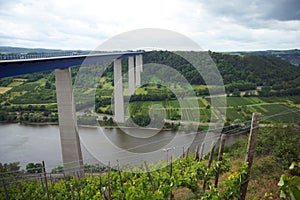 Concrete pillar bridge over the river