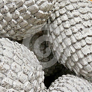Concrete pine cones - close up
