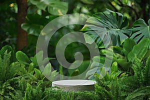 Concrete podium tabletop floor in outdoor tropical garden forest blurred green leaf plant nature background.Natural product