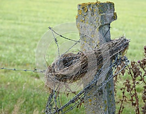 Concrete post in a farmer environment