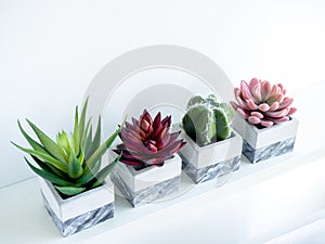 Concrete pot cubic shape or geometric cement planter for cactus and succulent plants