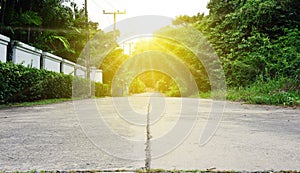 Concrete road, concrete walk way, concrete road in a garden.