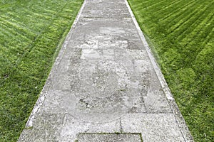 Concrete road in the grass