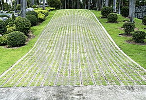 Concrete road with grass in public park background. Concrete block slope road with growth grass plant in the garden