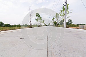 Concrete road with plant and lighing pole