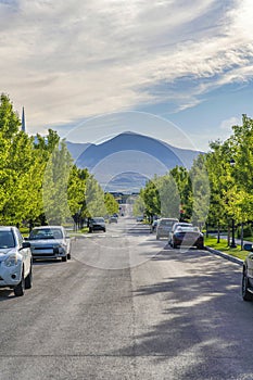 Concrete road with vehicles parked on the roadside near the columnar trees at Daybreak, Utah