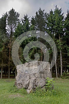 Concrete ruins of Adolf Hitler's residence Werwol