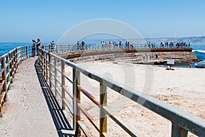 Concrete SeaWall with Metal Railing Overlooking La Jolla Children`s Pool