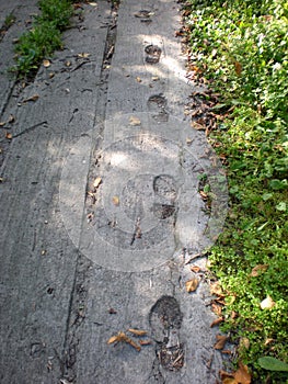 A concrete sidewalk with footprints pressed onto its surface