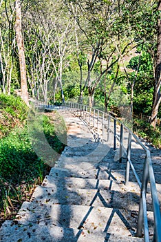 Concrete stair in national park