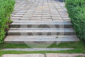 Concrete stair or walking path on green grass beside green bush.