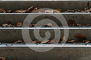 Concrete staircase with dry yellow leaves outdoors