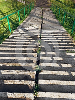 Concrete staircase on a steep slope of green grass