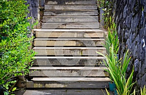 Concrete stairs of the house